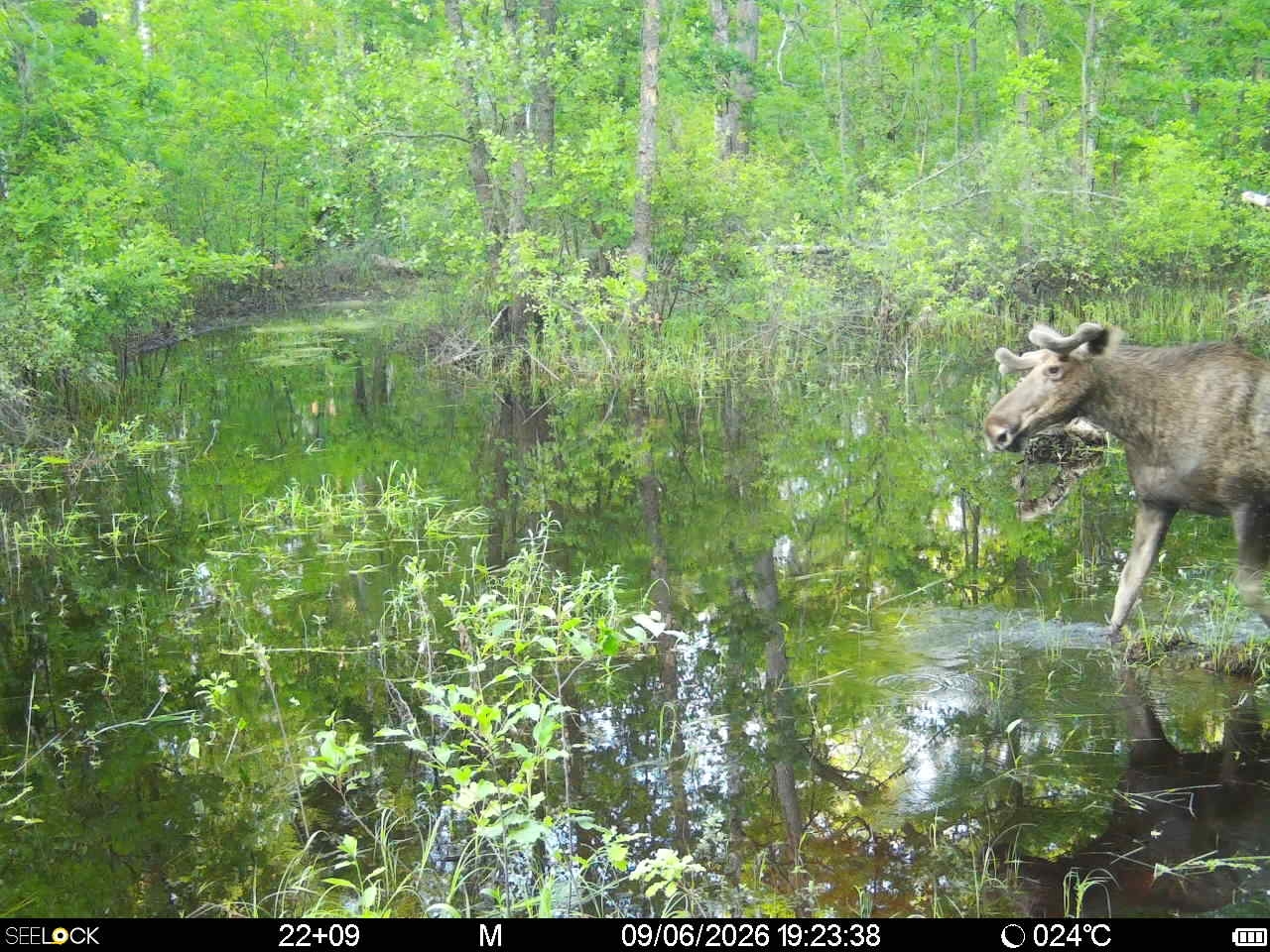 Preview Image 1
