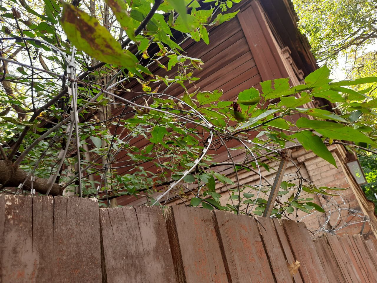 Preview Image 1