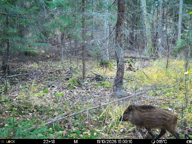 Preview Image 1