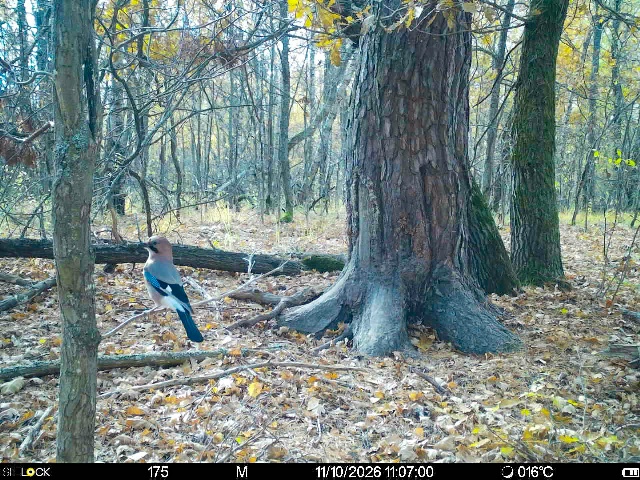 Preview Image 1
