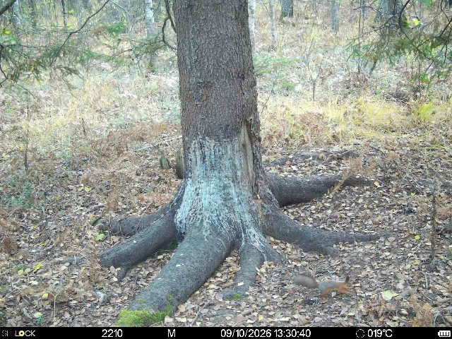 Preview Image 1