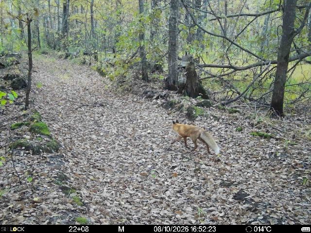 Preview Image 1
