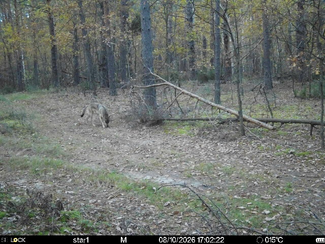 Preview Image 1