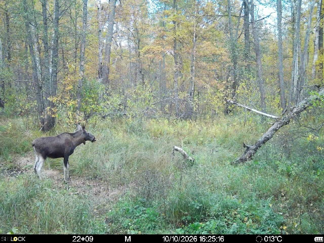 Preview Image 1