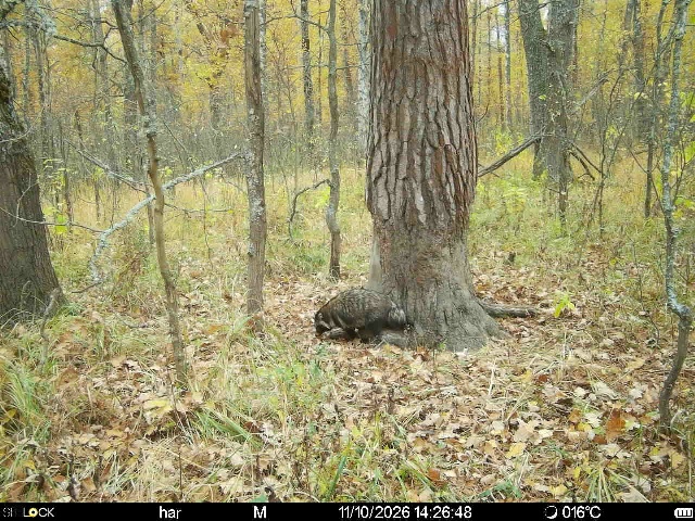 Preview Image 1