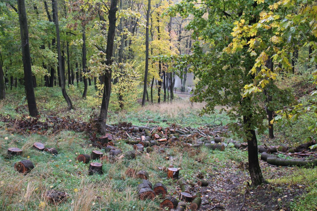 Preview Image 1