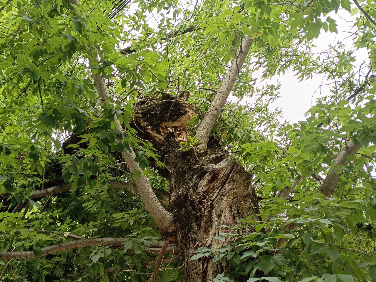 Preview Image 1