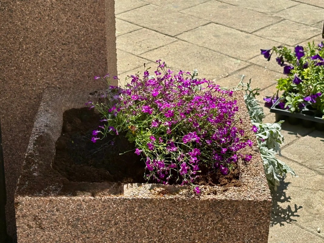 Preview Image 1