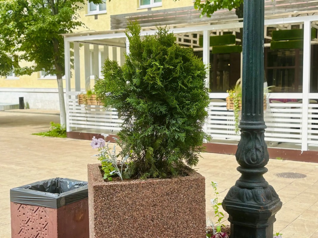 Preview Image 1
