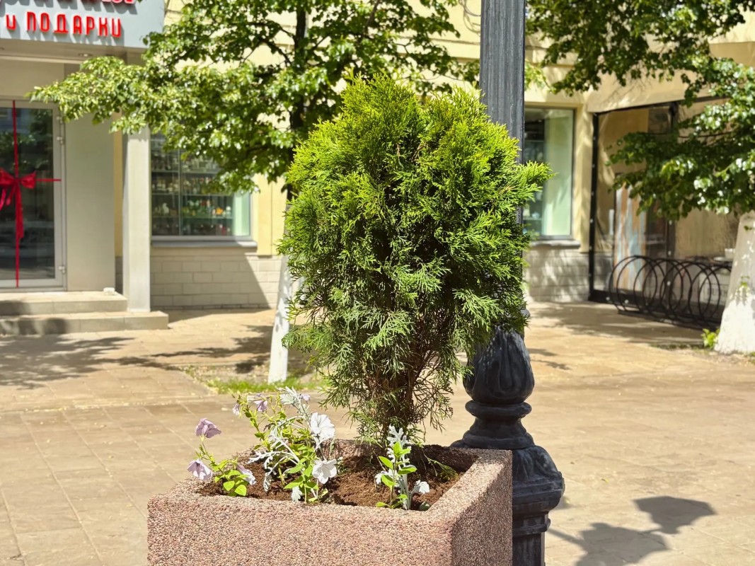 Preview Image 1