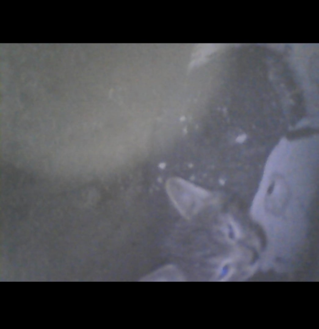 Preview Image 1
