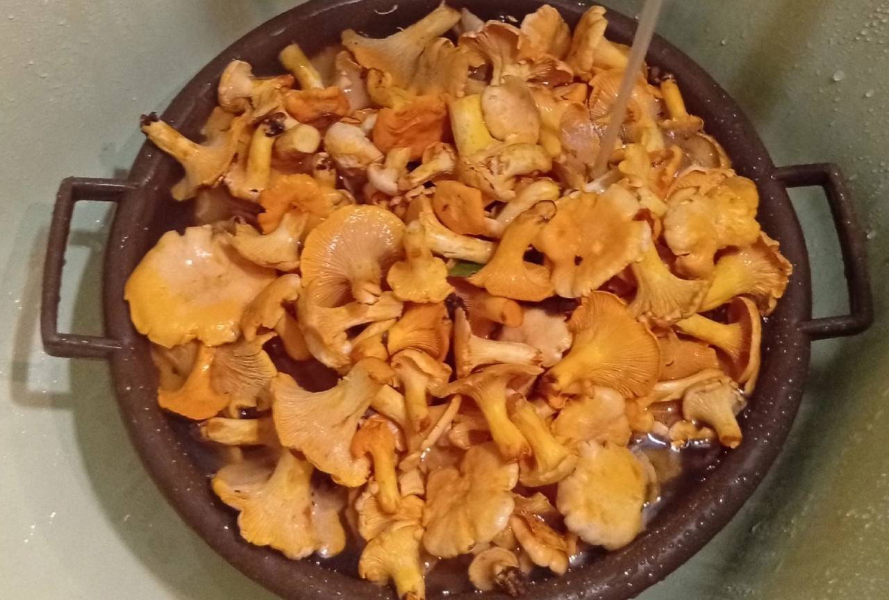 Preview Image 1