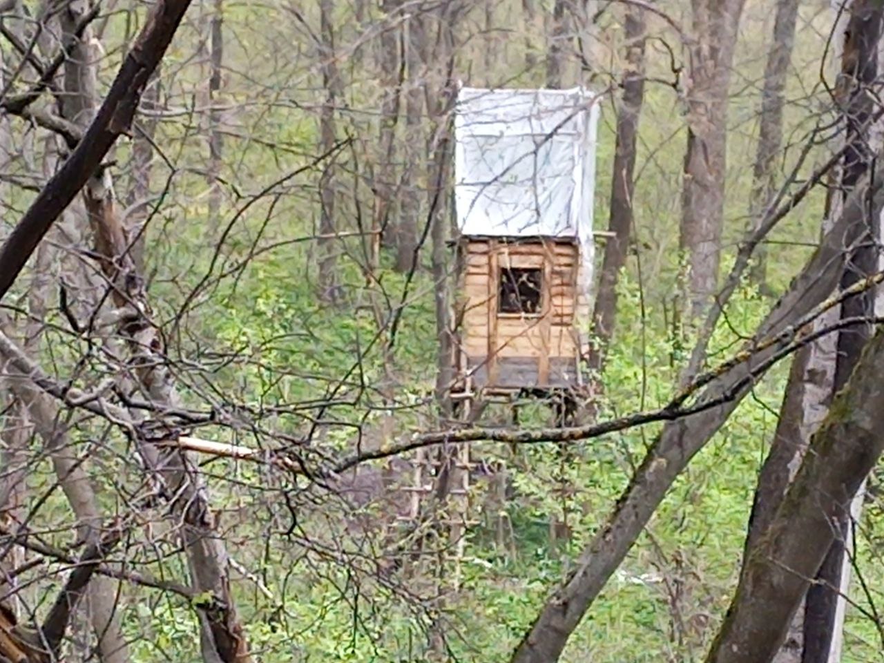 Preview Image 1