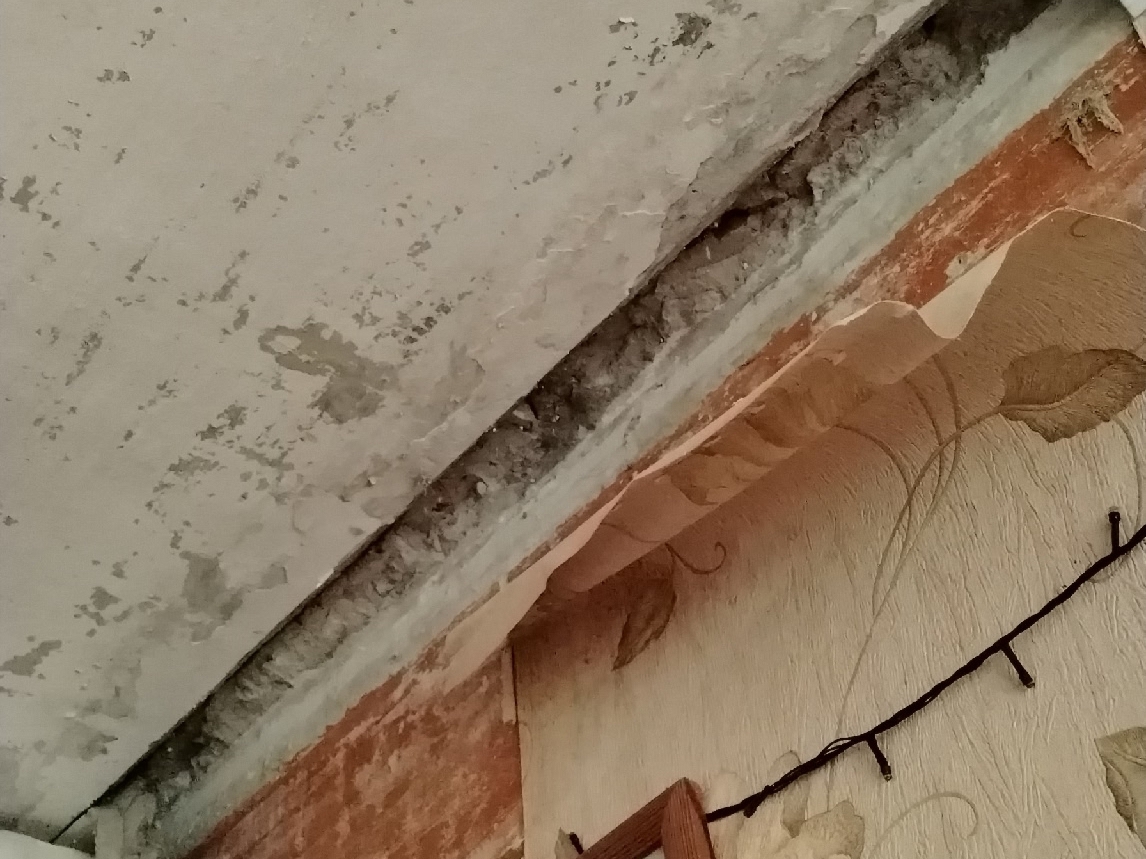 Preview Image 1
