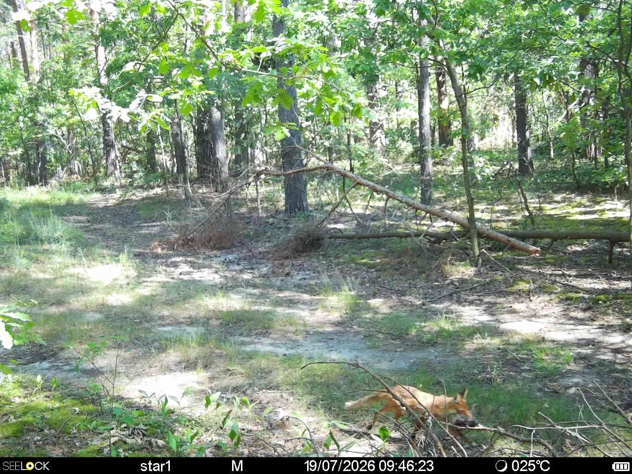 Preview Image 1