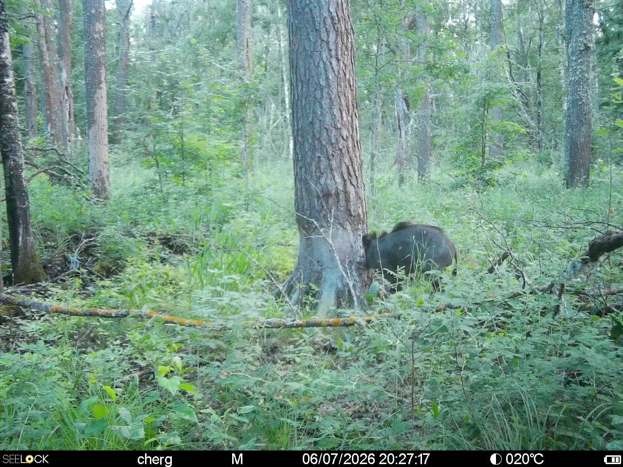 Preview Image 1