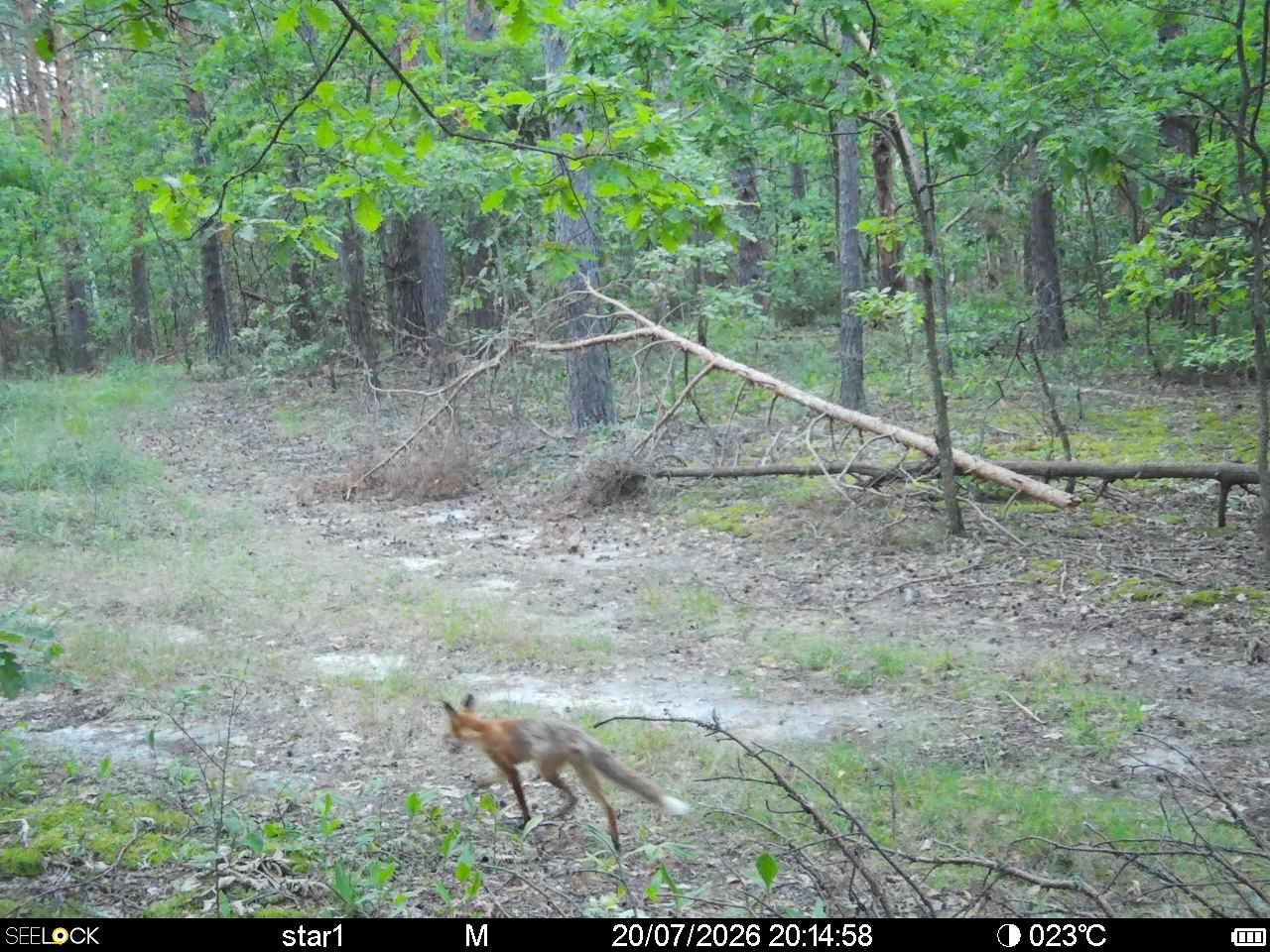 Preview Image 1