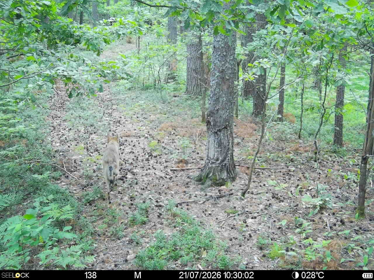 Preview Image 1