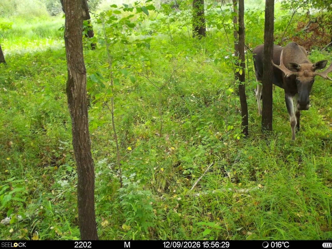 Preview Image 1