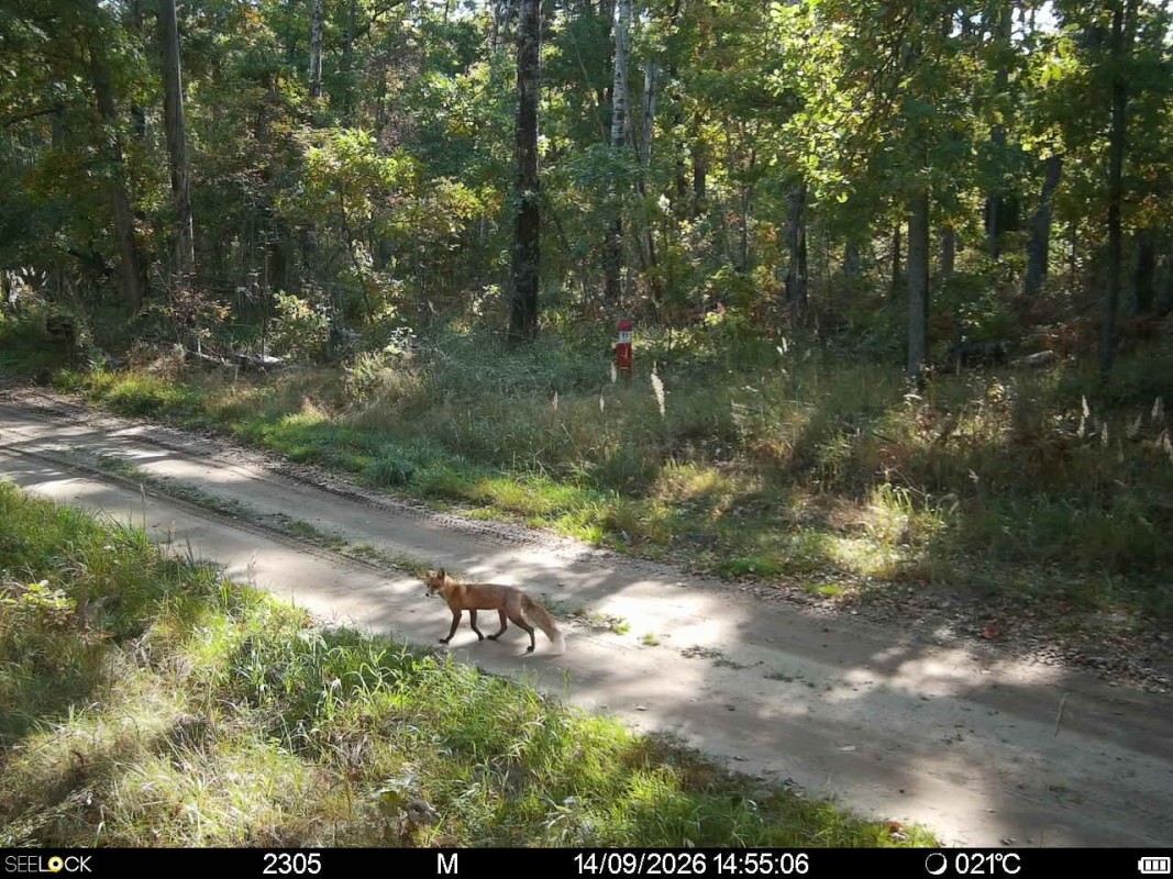 Preview Image 1