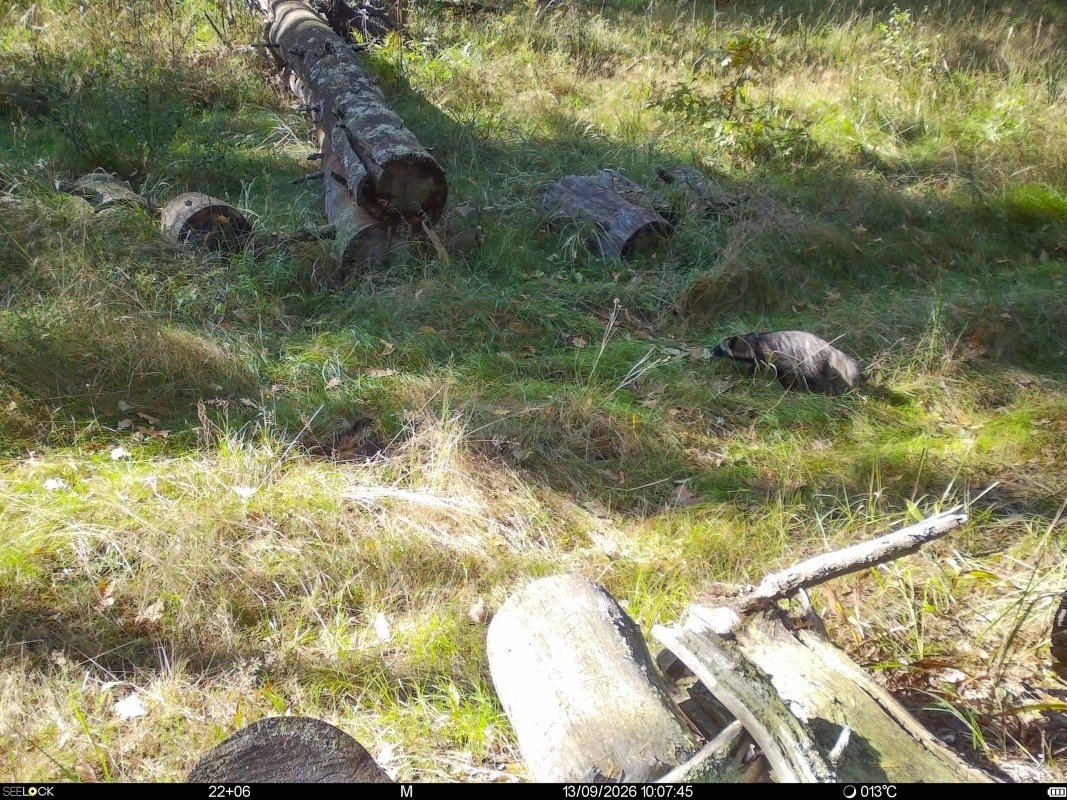 Preview Image 1