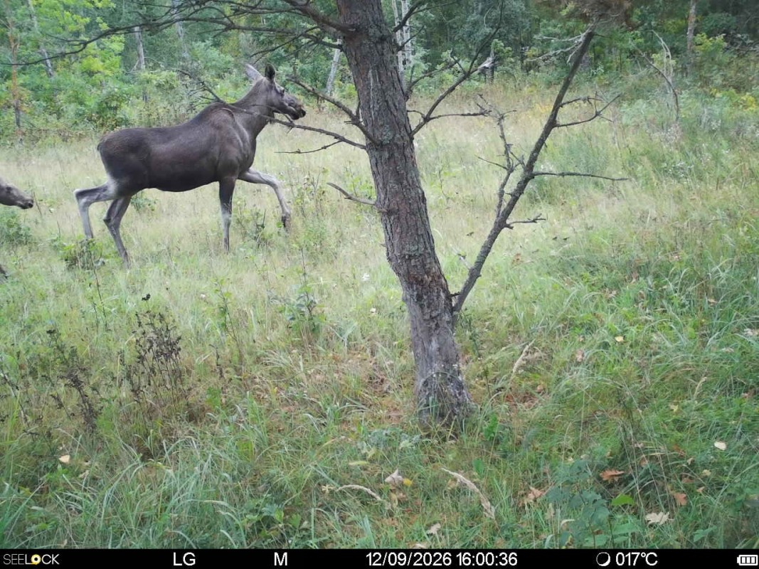 Preview Image 1