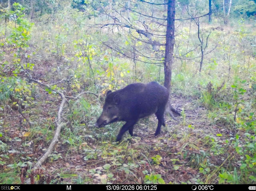 Preview Image 1