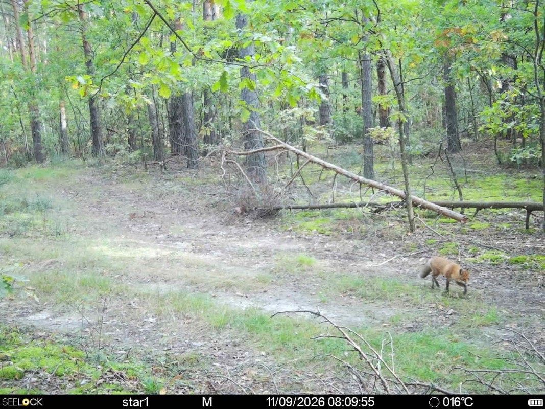 Preview Image 1