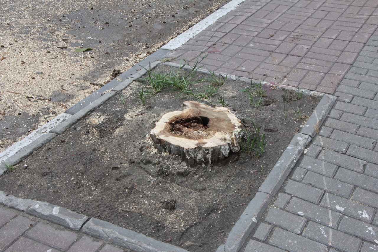Preview Image 1