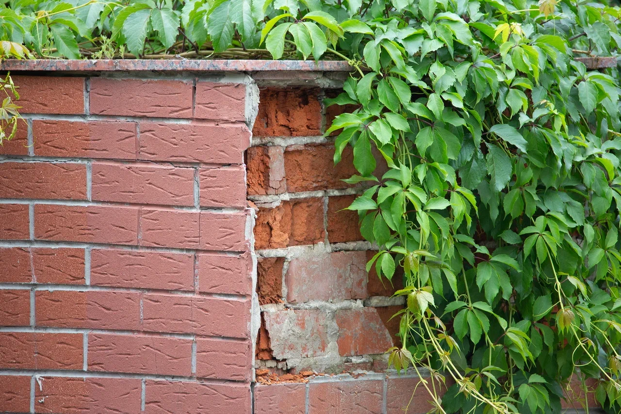 Preview Image 1