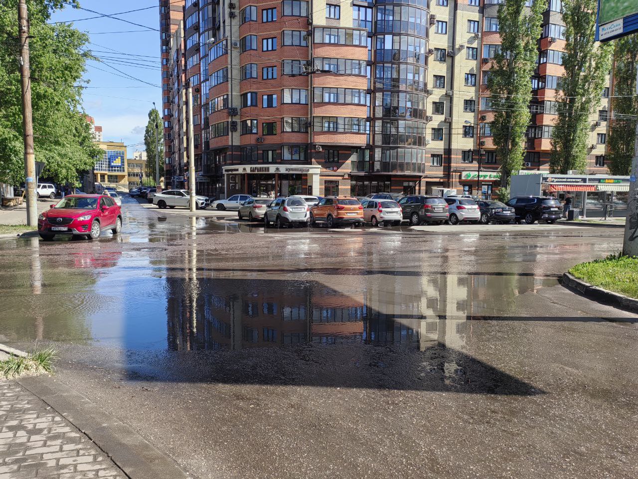 Preview Image 1