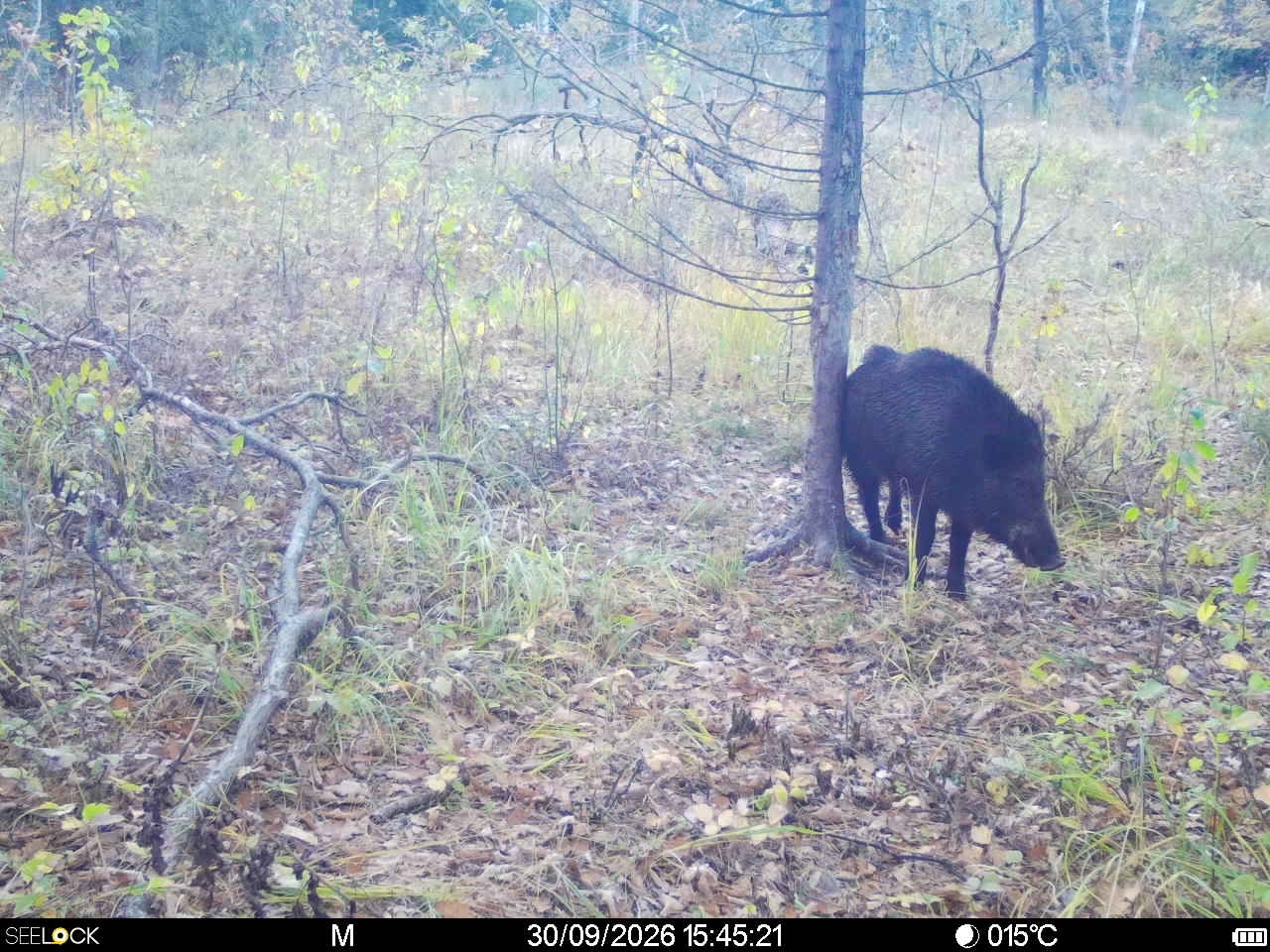 Preview Image 1