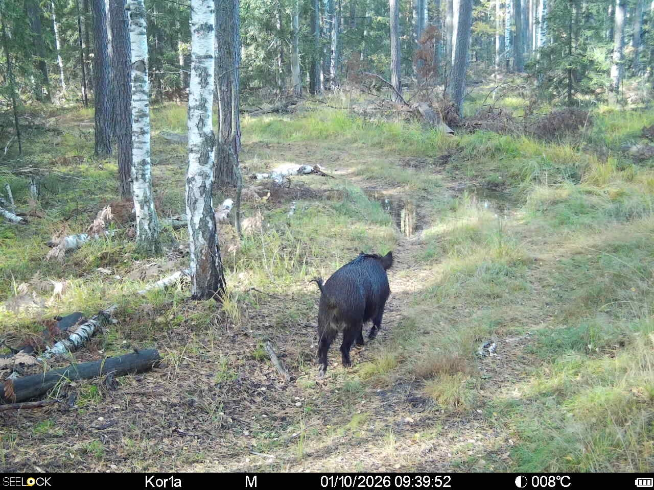 Preview Image 1