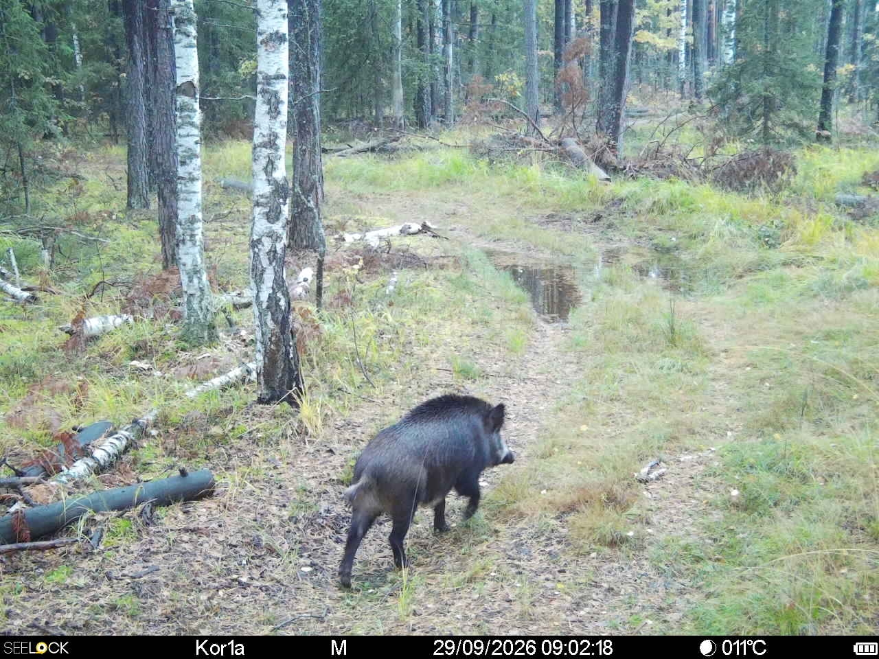 Preview Image 1