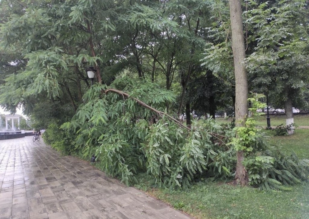 Preview Image 1