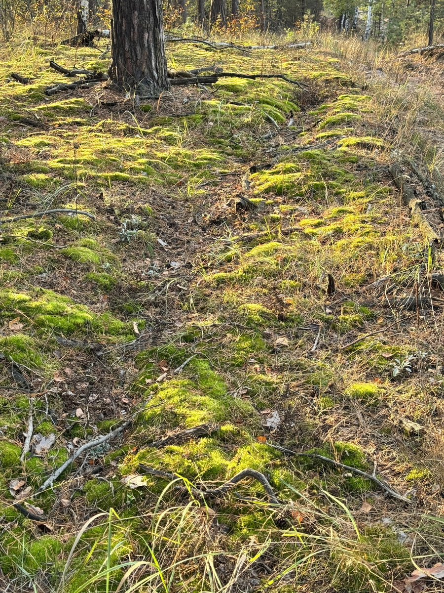 Preview Image 1