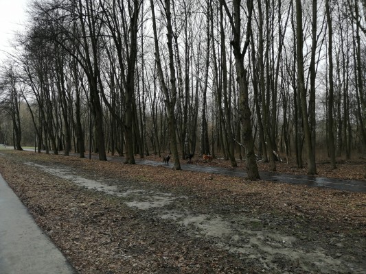 Preview Image 1