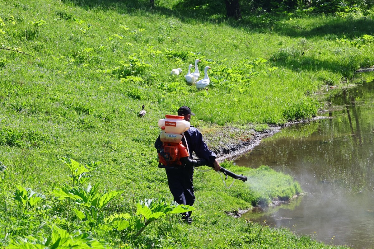 Preview Image 1