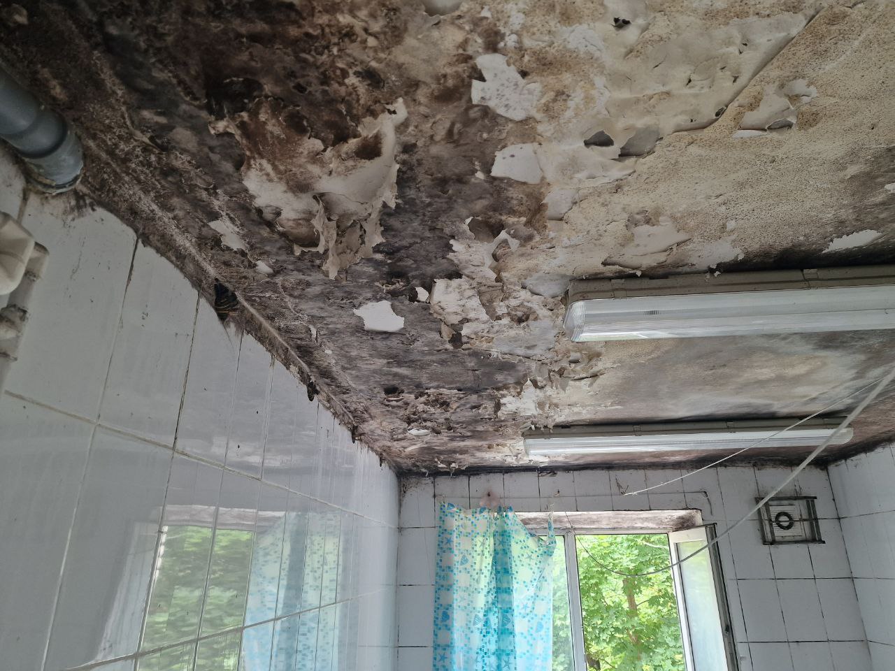Preview Image 1