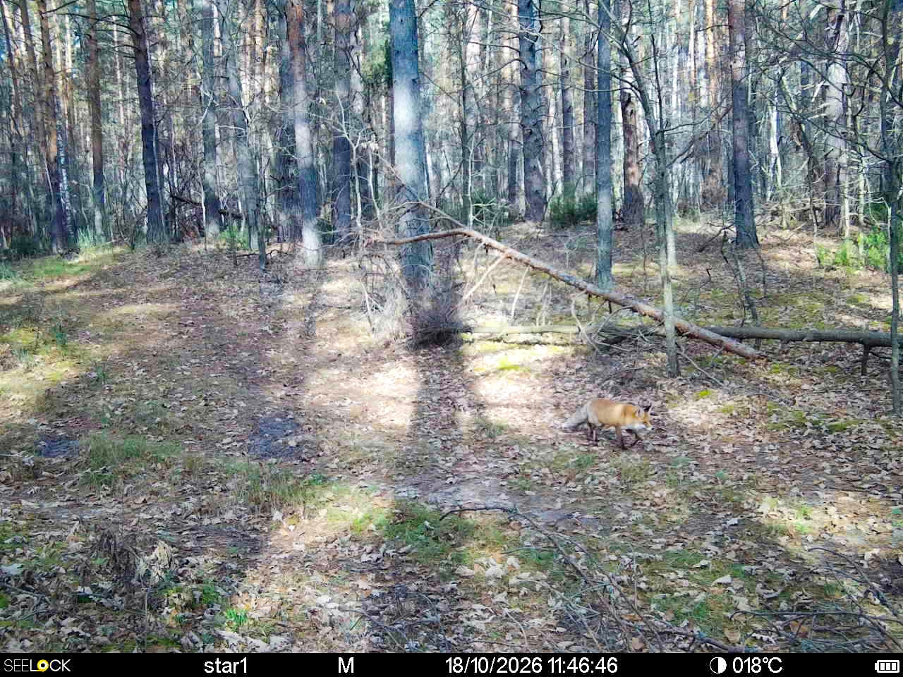 Preview Image 1