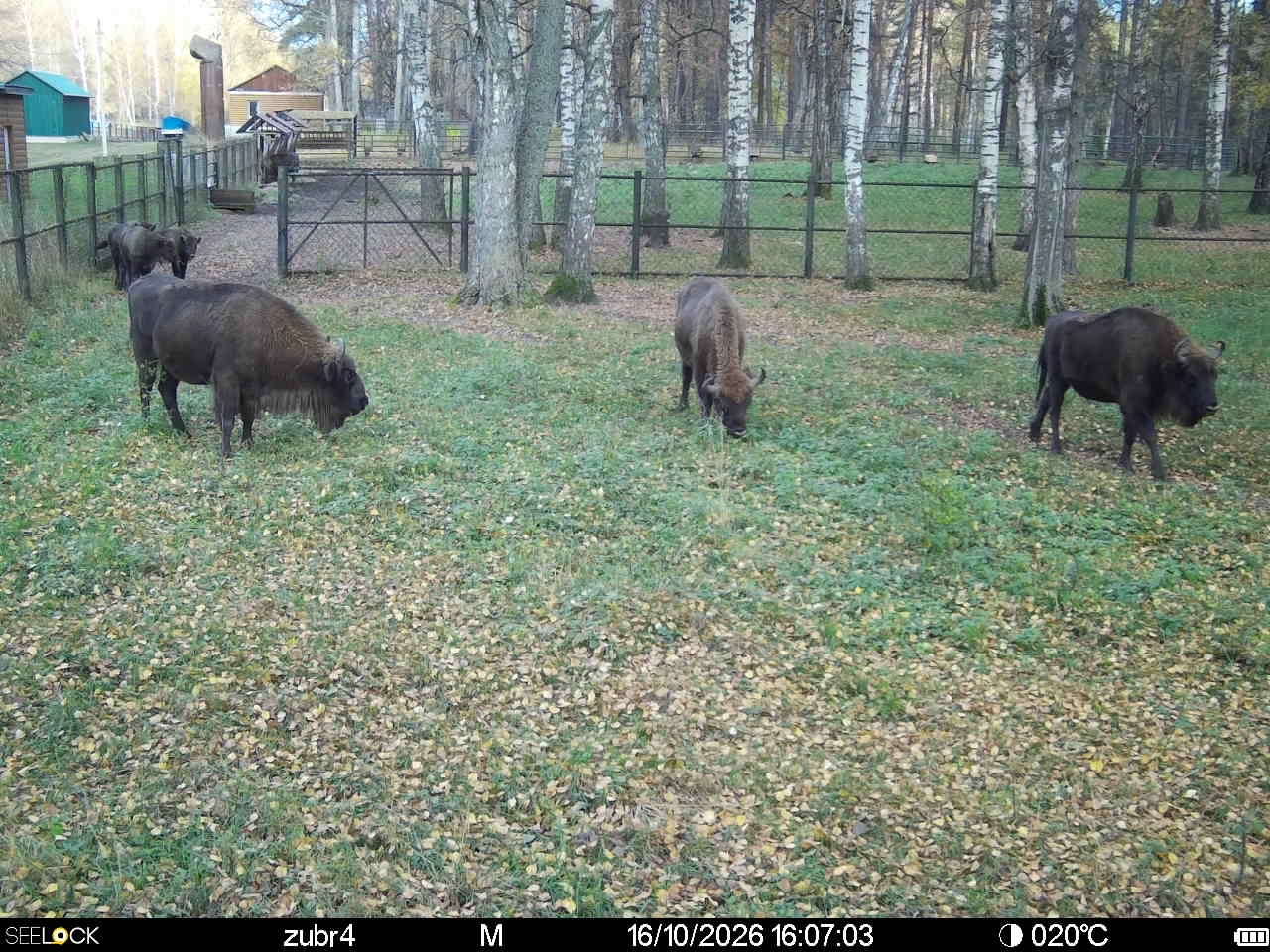 Preview Image 1