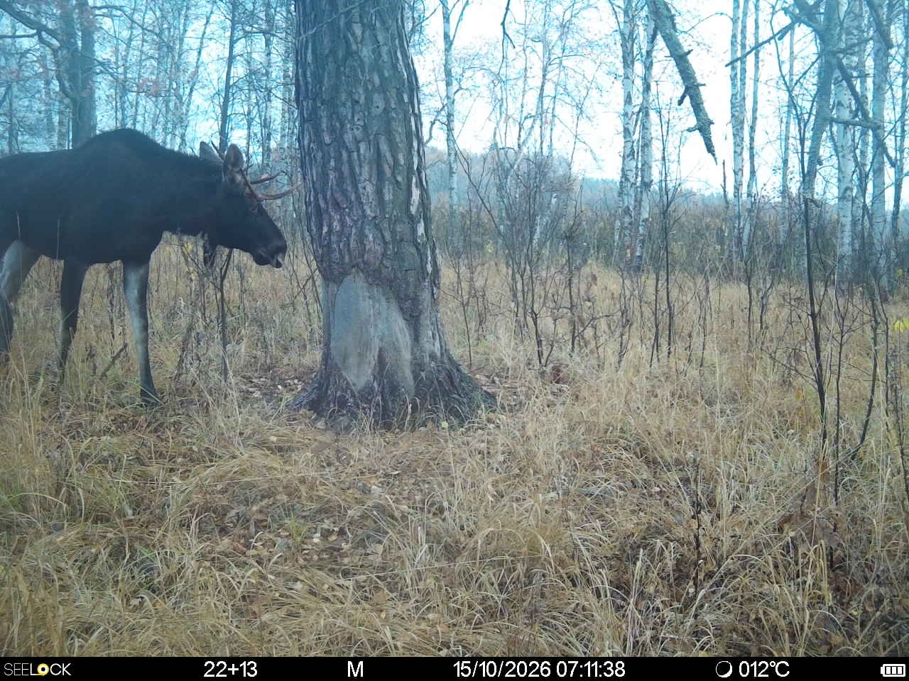Preview Image 1