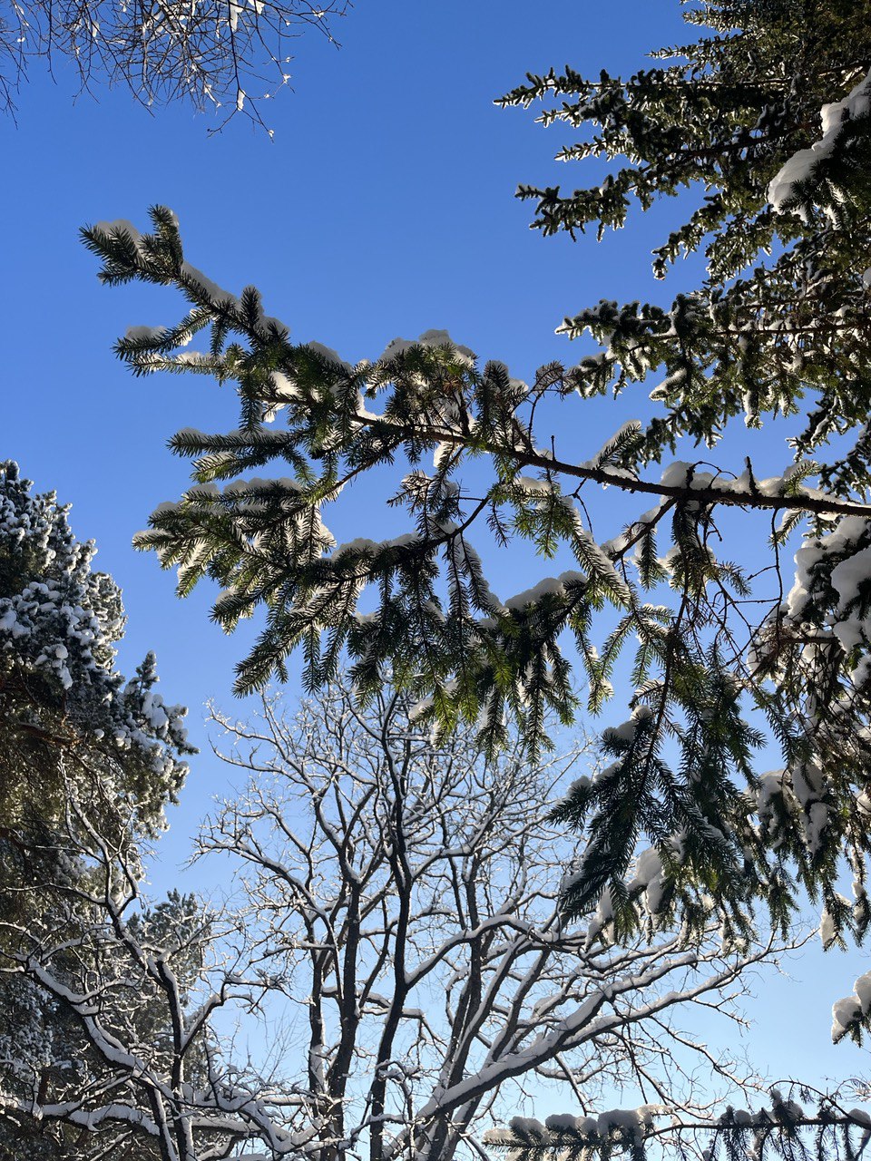 Preview Image 1