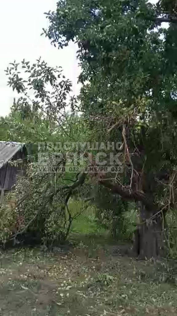 Preview Image 1