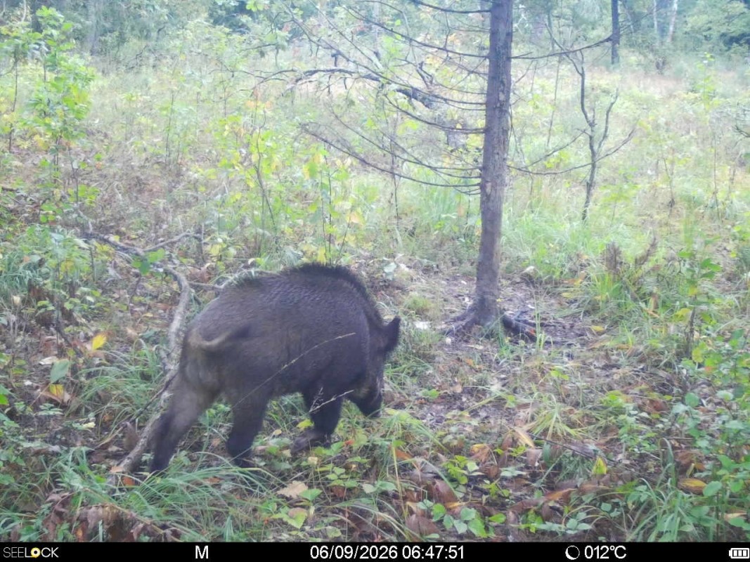 Preview Image 1
