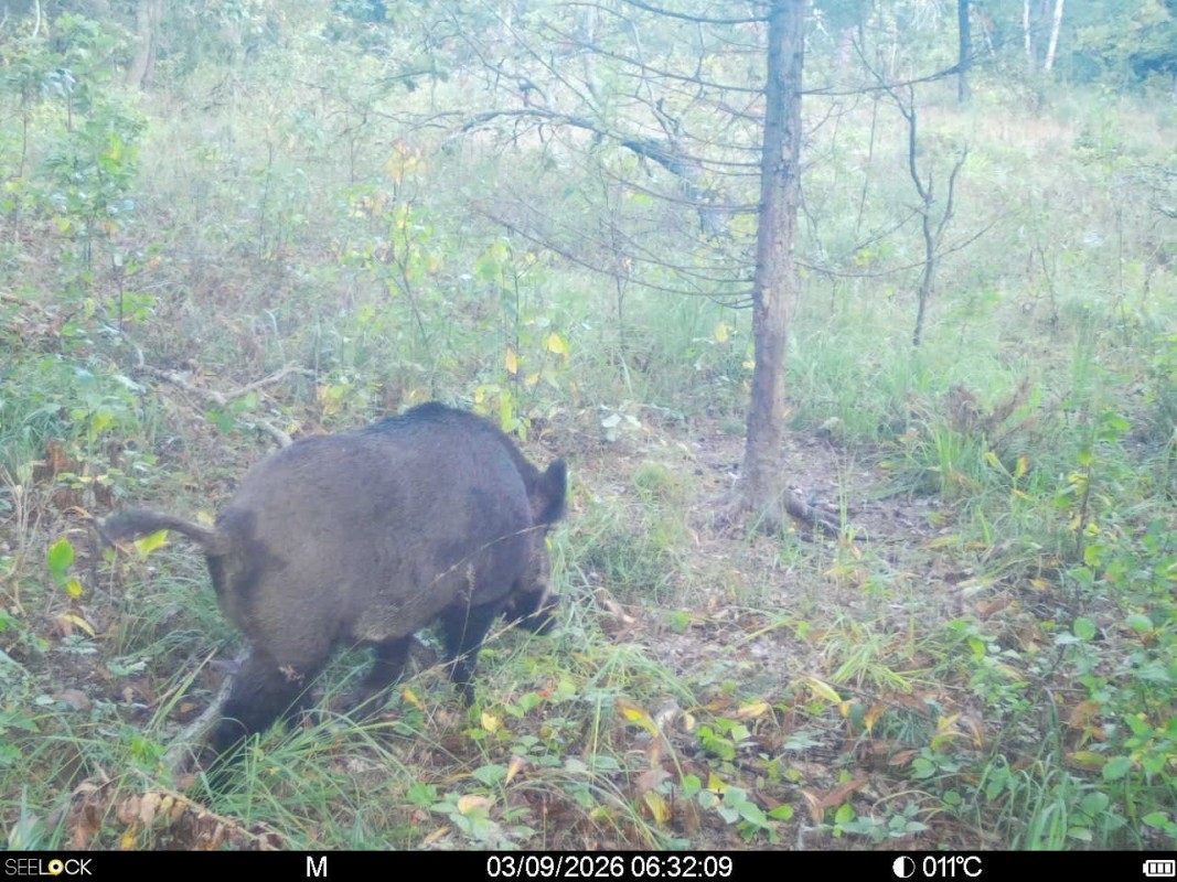 Preview Image 1