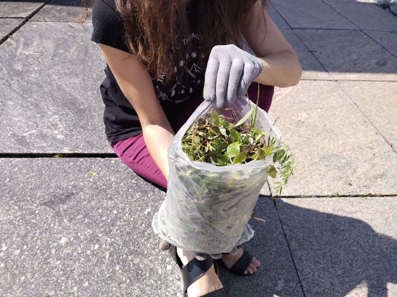 Preview Image 1