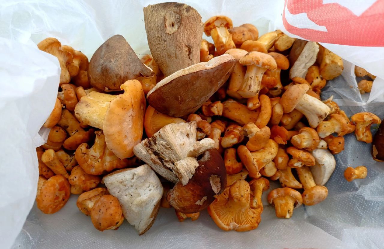 Preview Image 1