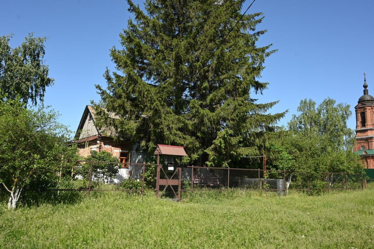 Preview Image 1