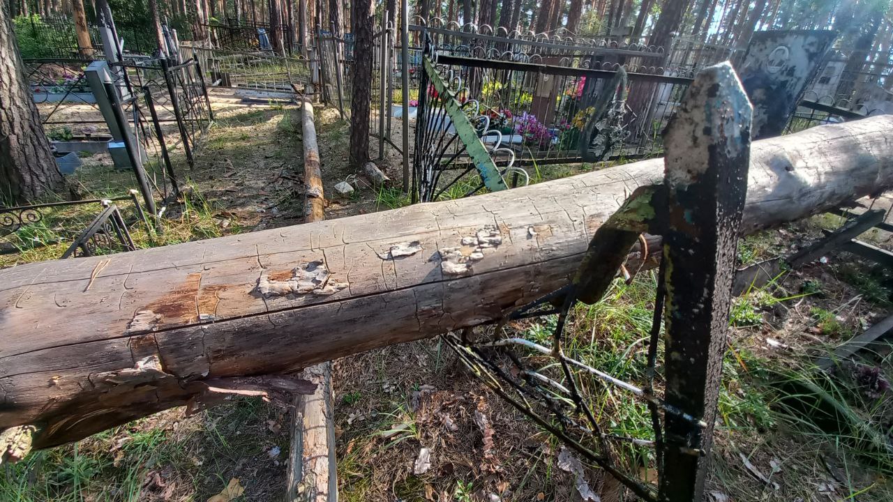 Preview Image 1